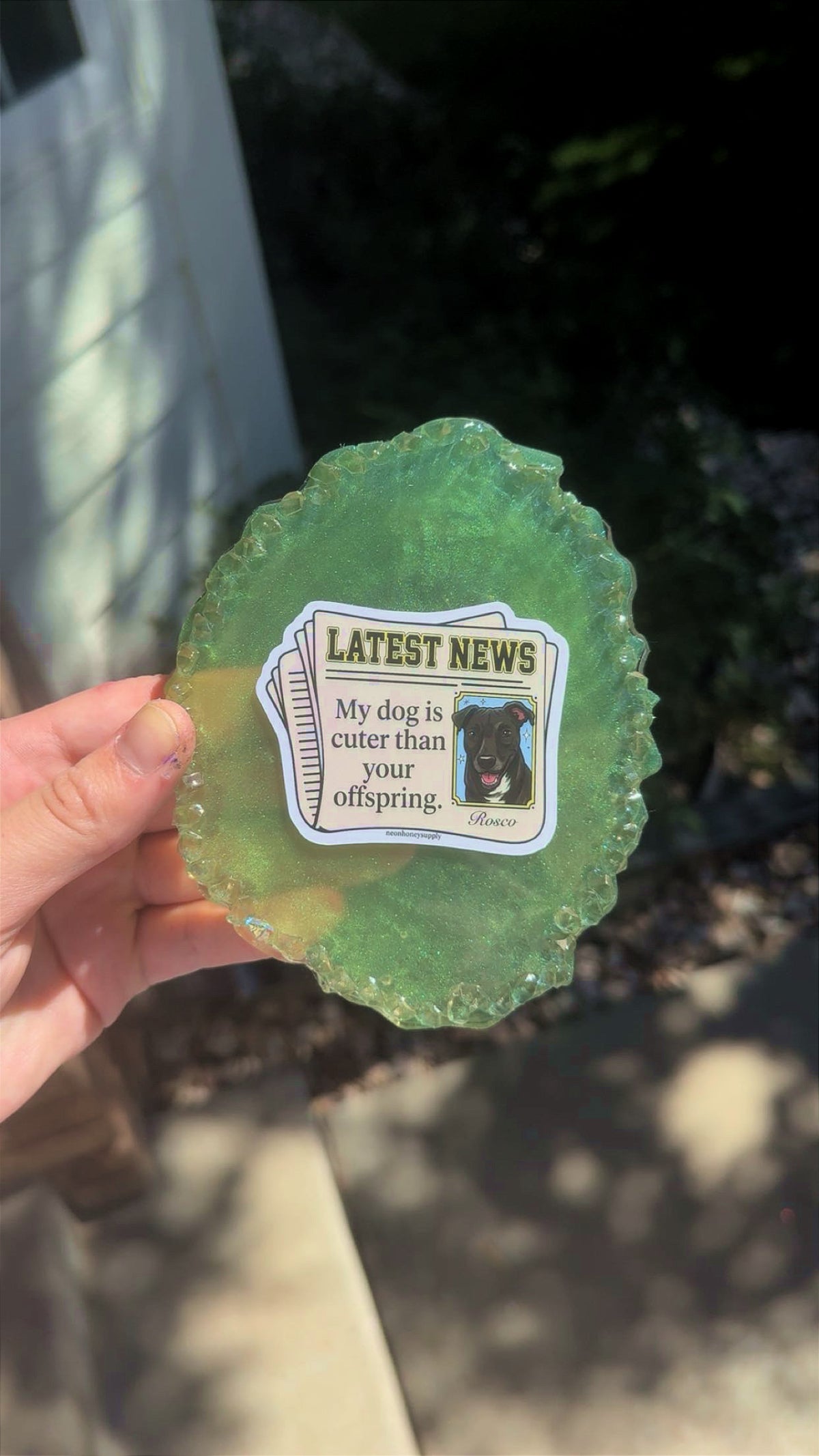 Custom dog coaster