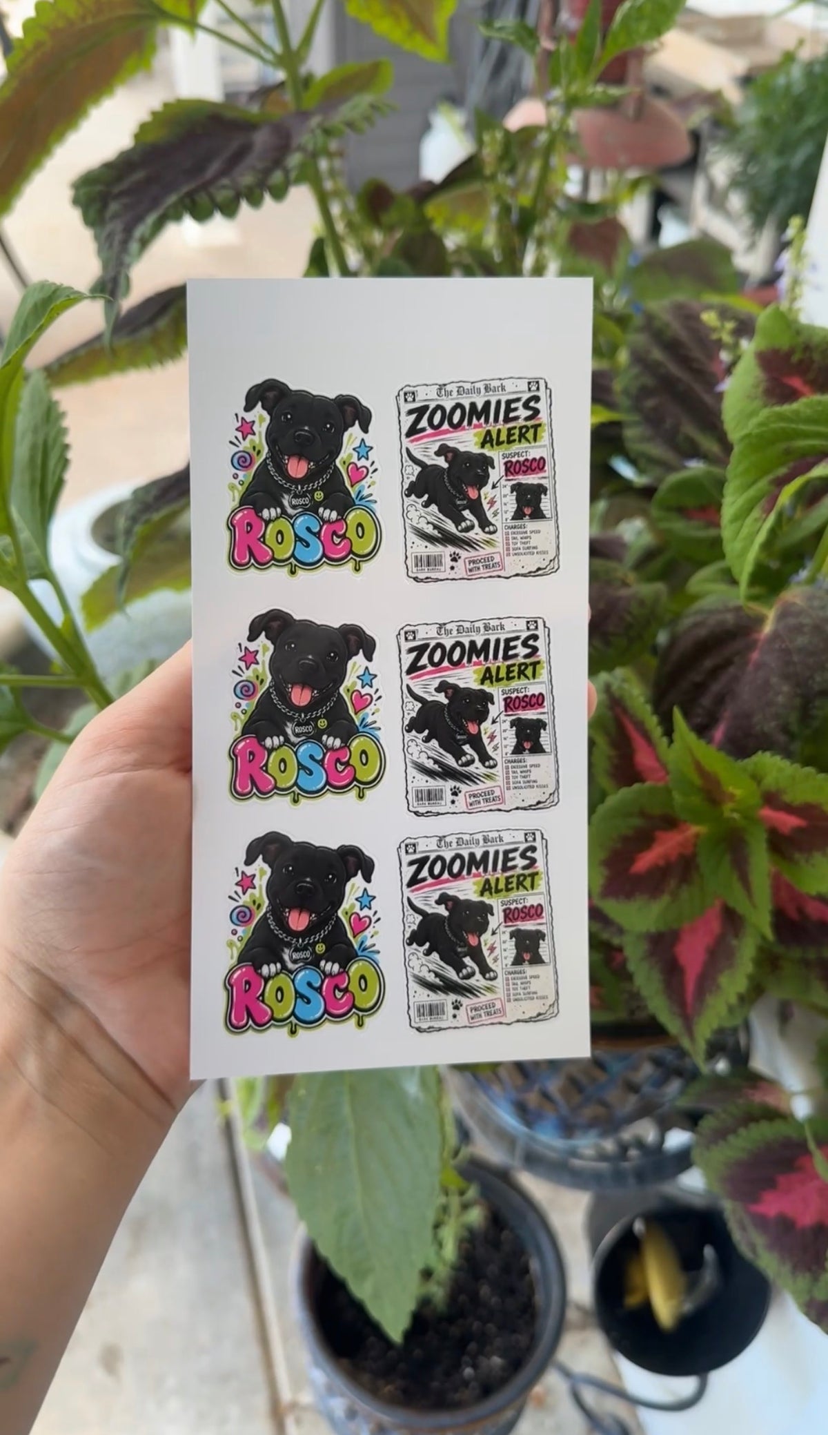Custom Pet Stickers – Your Pet, Your Design!